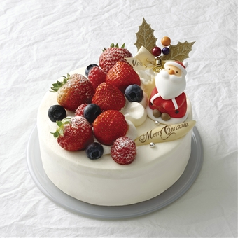 上野 ショートケーキ 3 4人用 3 000円未満 引渡日 12月25日のクリスマス商品一覧 エキュート