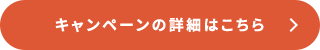 Ly[̏ڍׂ͂
